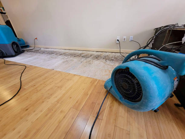 Professional Basement Flood Cleanup technician working in Latah, WA